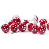 Feengarten Winzige Pilze